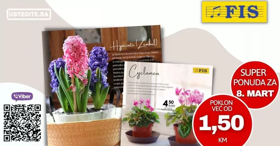 Poklonite cvijeće, poklonite radost... Fis saksijsko cvijeće već od 1,50 KM!  U FIS-ovim centrima potražite najljepše saksijsko cvijeće, pažljivo odabrano za vas i osobe koje volite. 