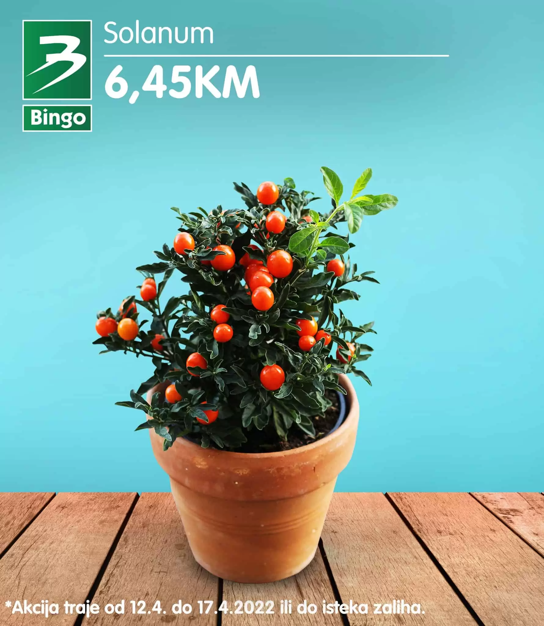 Bingo ukrasno cvijeće 12-17.04.2022.