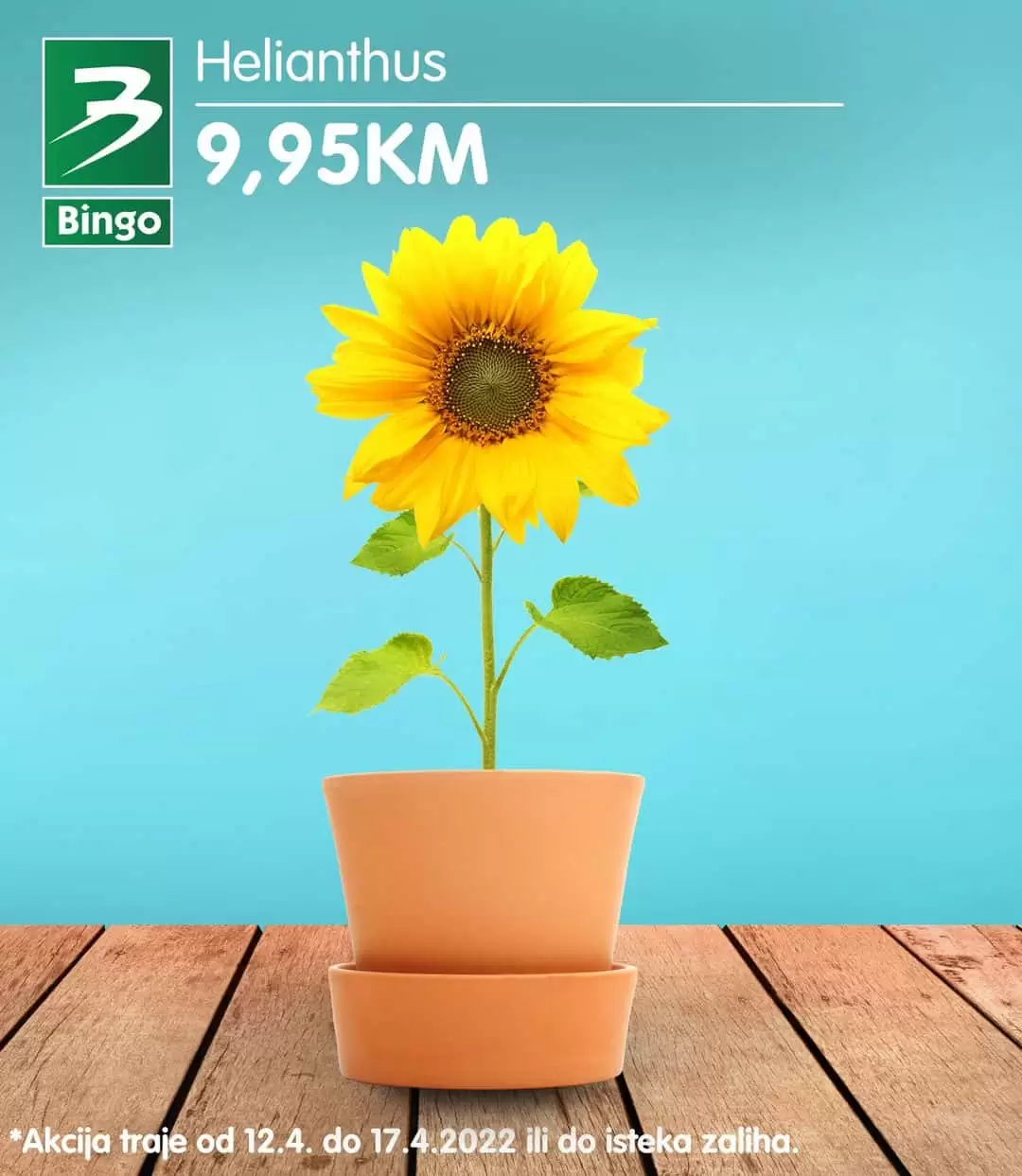 Bingo ukrasno cvijeće 12-17.04.2022.