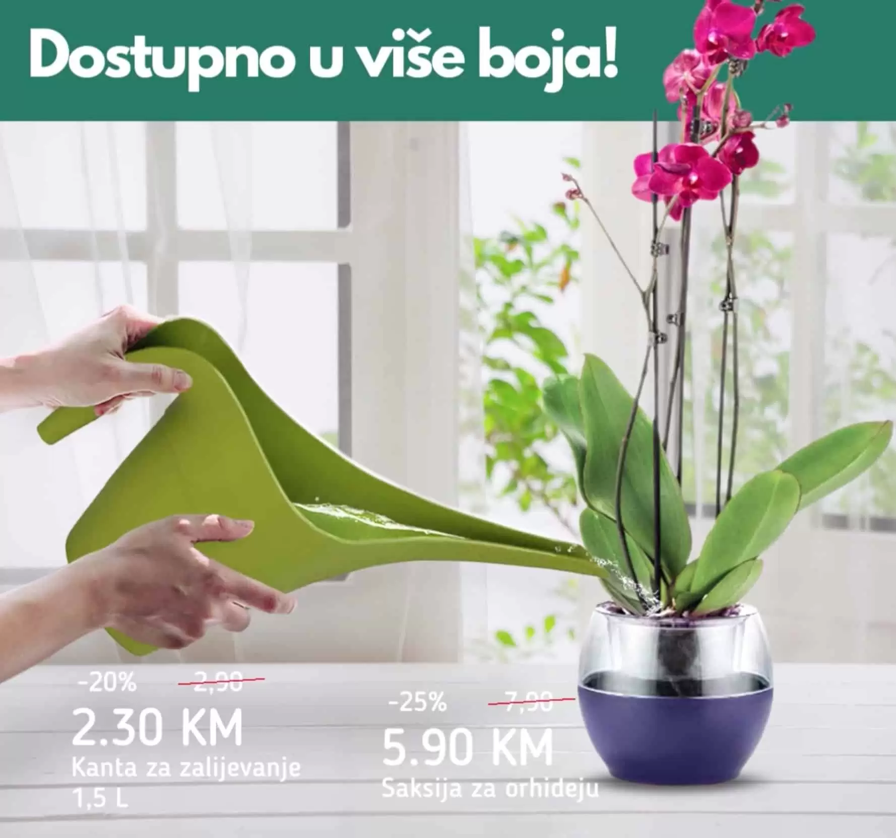 U svim Bingo prodavnicama pronadjite sve za njegu i uzgoj orhideja. Kante za zalijevanje orhideja, saksija za orhideje!