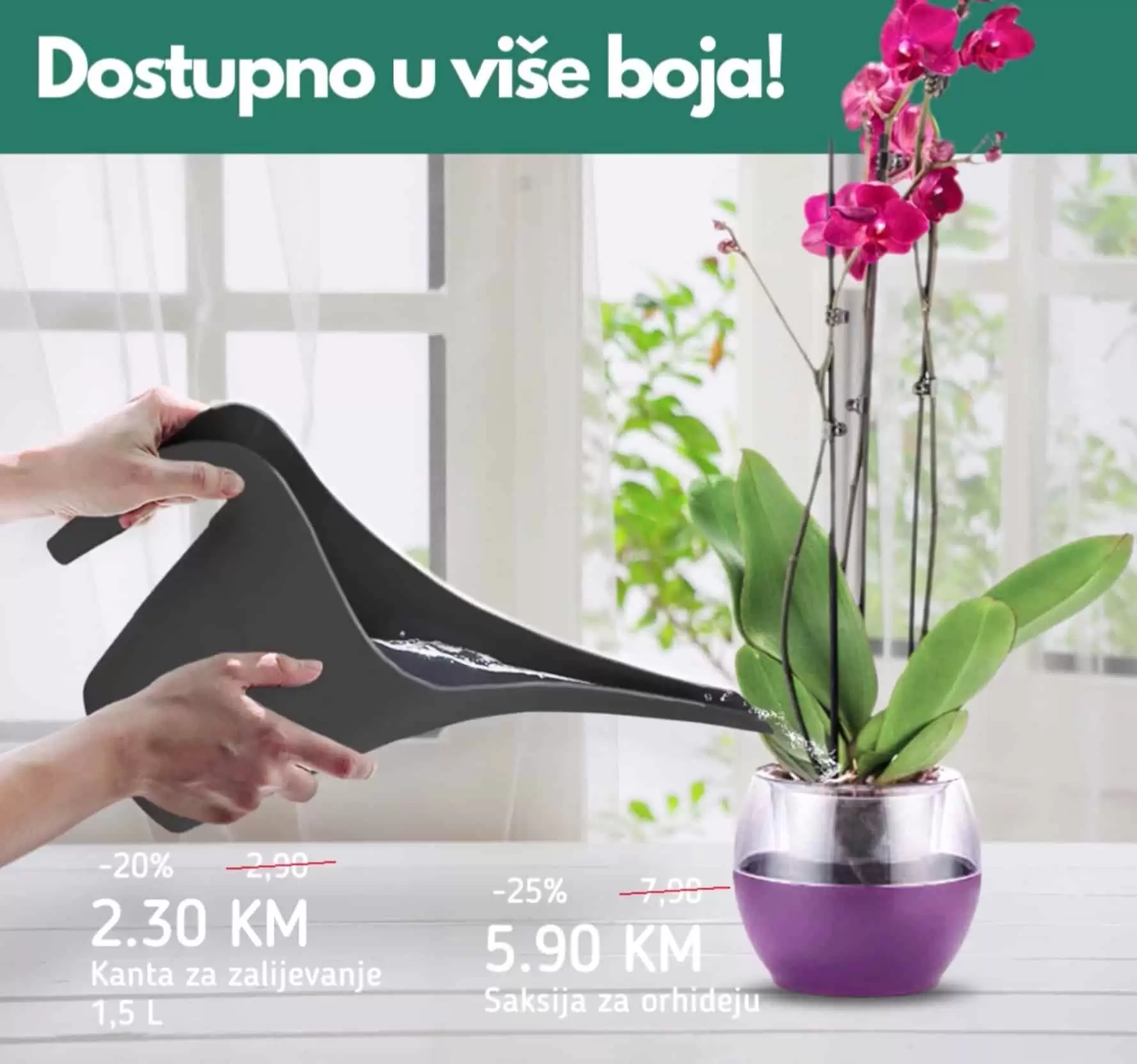 U svim Bingo prodavnicama pronadjite sve za njegu i uzgoj orhideja. Kante za zalijevanje orhideja, saksija za orhideje!