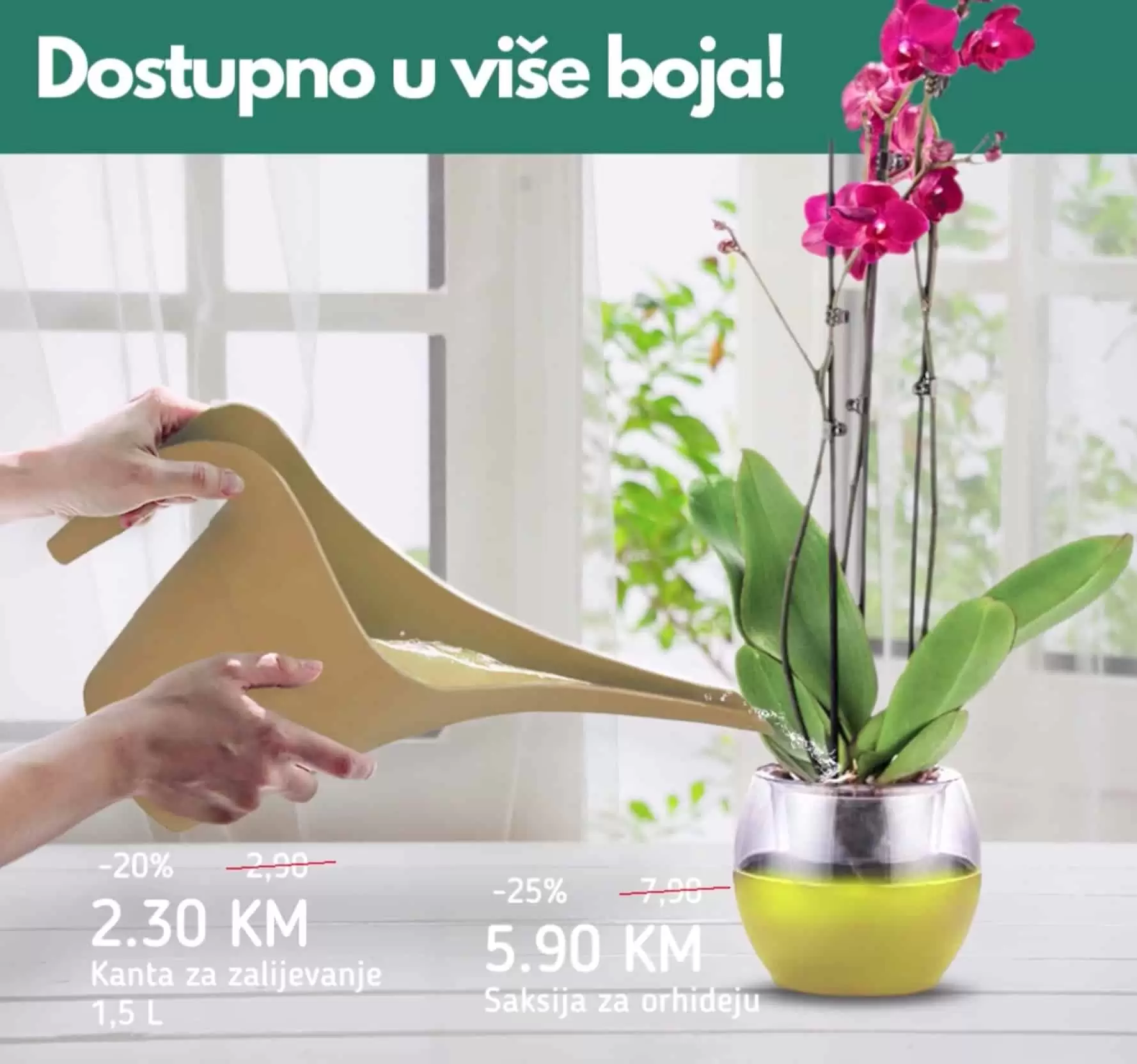 U svim Bingo prodavnicama pronadjite sve za njegu i uzgoj orhideja. Kante za zalijevanje orhideja, saksija za orhideje!