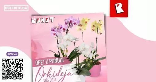 Volite ORHIDEJE? Robot nam donosi odličnu ponudu, maj 2022.