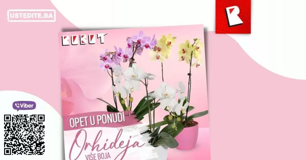 Volite ORHIDEJE? Robot nam donosi odličnu ponudu, maj 2022.