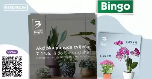 Bingo katalog juli 2022 donosi nam akcijske cijene cvjeca!