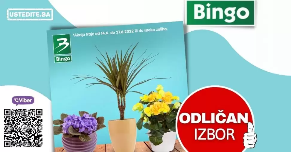 BINGO ▷【akcija CVIJECE】 JUNI 2022 katalog snizenja do 21.06.2022.