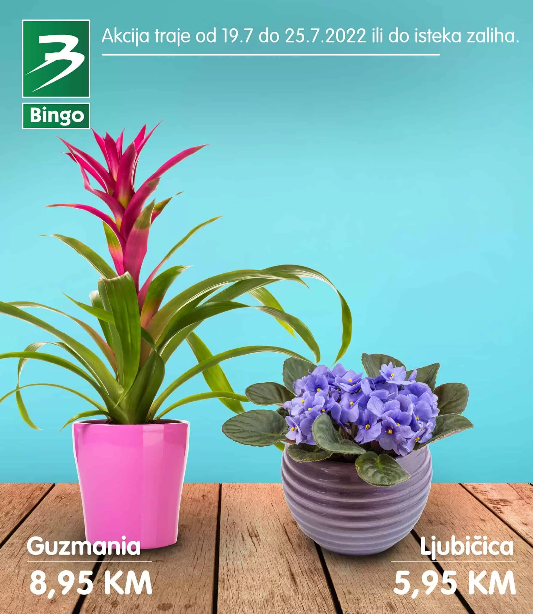 Bingo cvijeće SUPER PONUDA 19-25.7.2022. katalog sniženja juli 2022