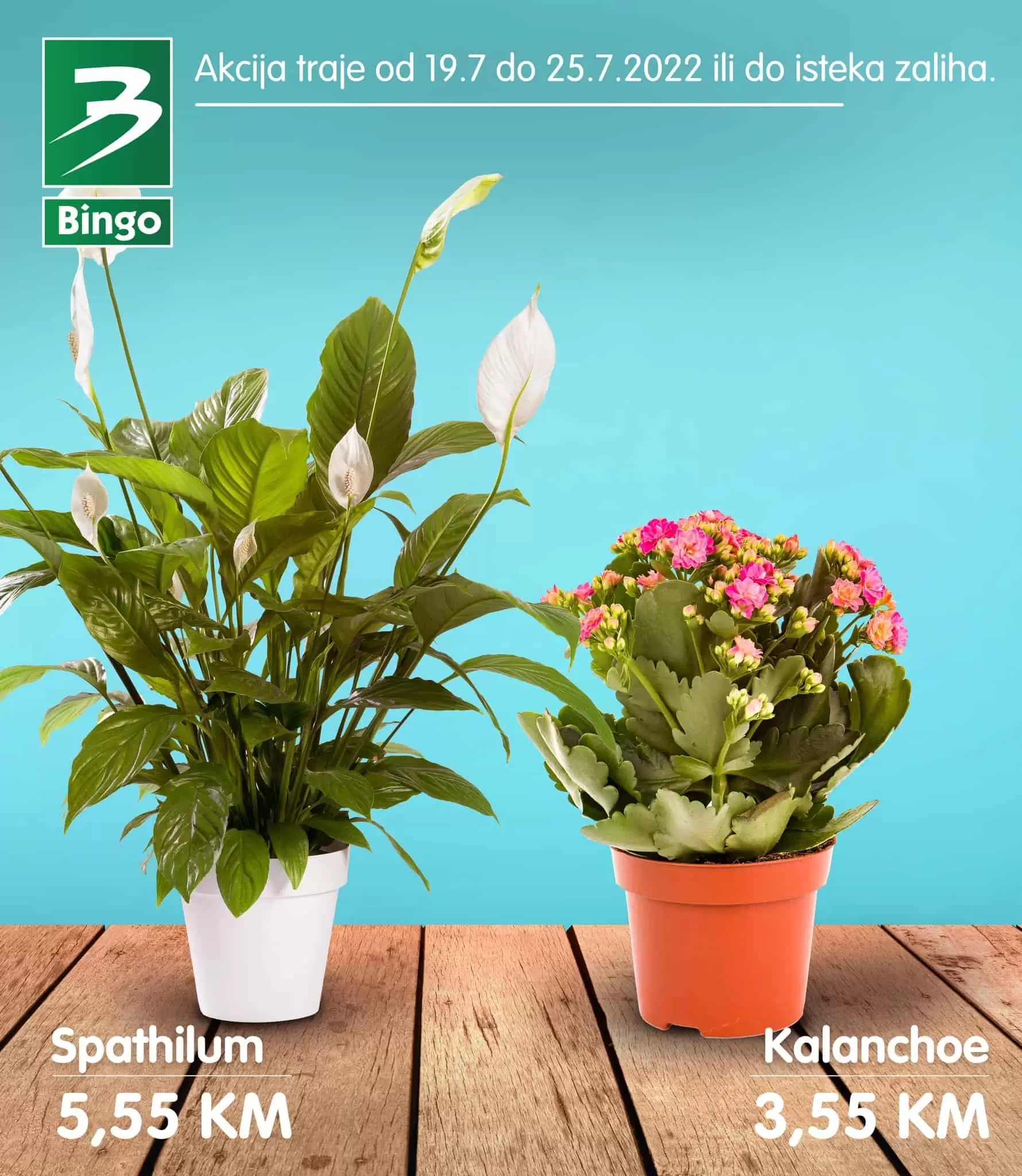 Bingo cvijeće SUPER PONUDA 19-25.7.2022. katalog sniženja juli 2022