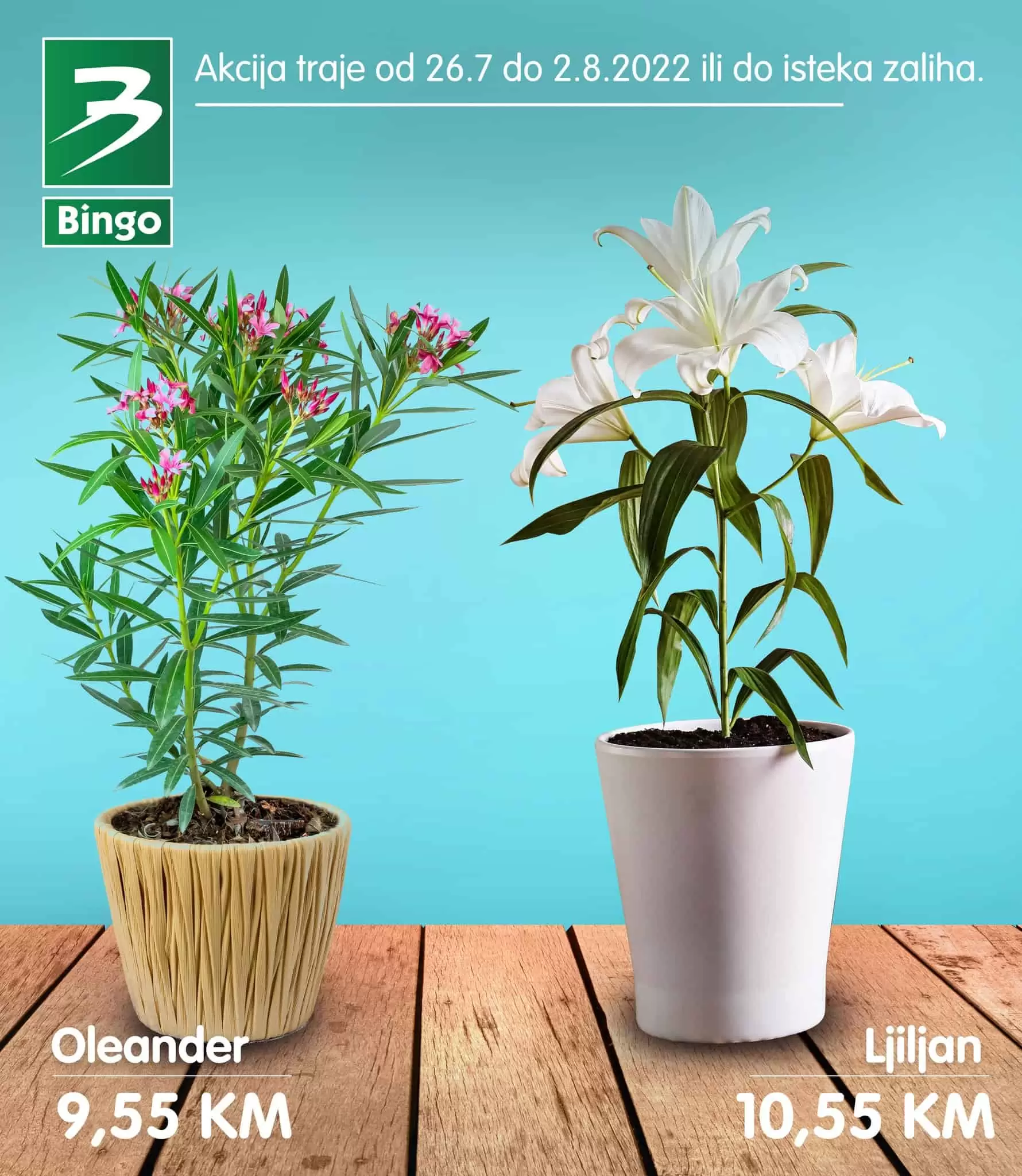 Bingo super ponuda CVIJECE juli 2022