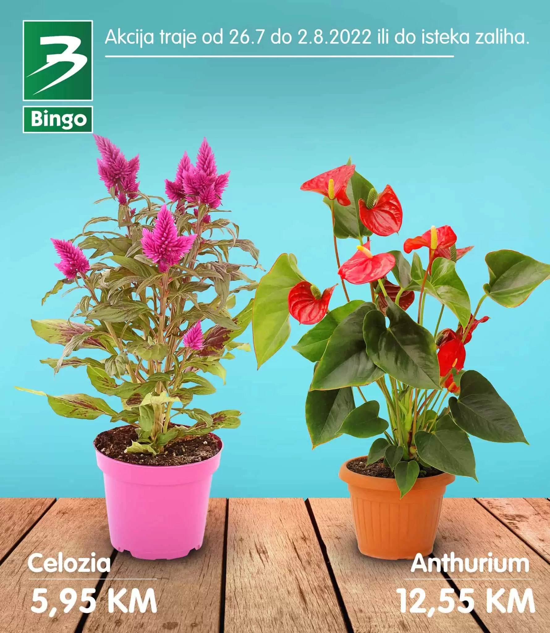 Bingo super ponuda CVIJEĆE juli 2022