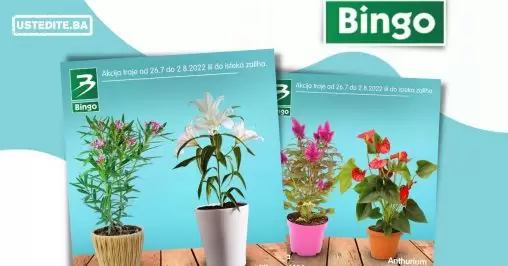 Bingo super ponuda CVIJECE juli 2022