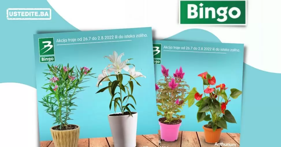 Bingo super ponuda CVIJECE juli 2022