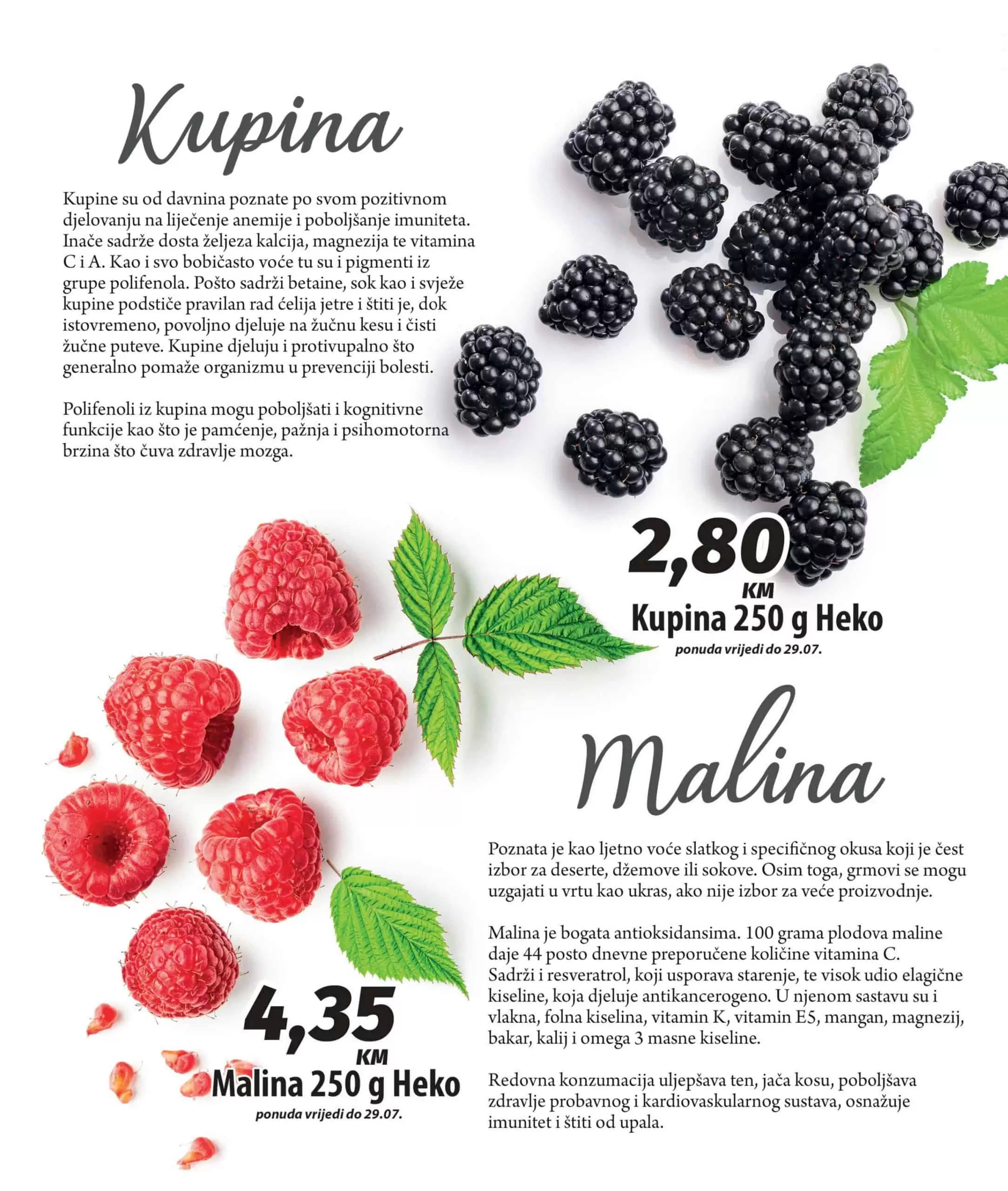 Bingo Magazin Plus juli/avgust katalog snizenja 22.7-11.8.2022