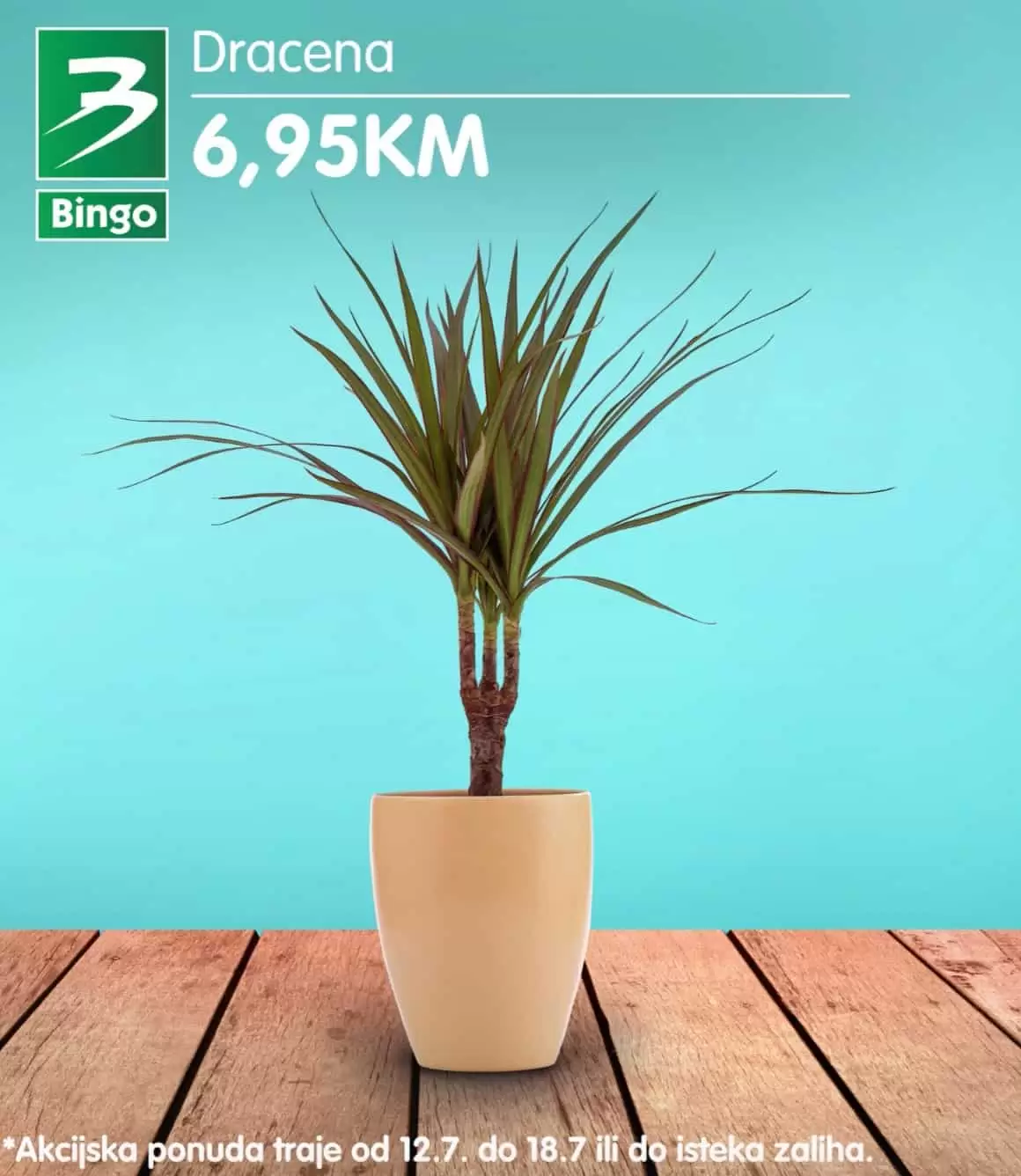 Bingo super ponuda CVIJECA jul 2022 katalog snizenja do 18.07.2022. 