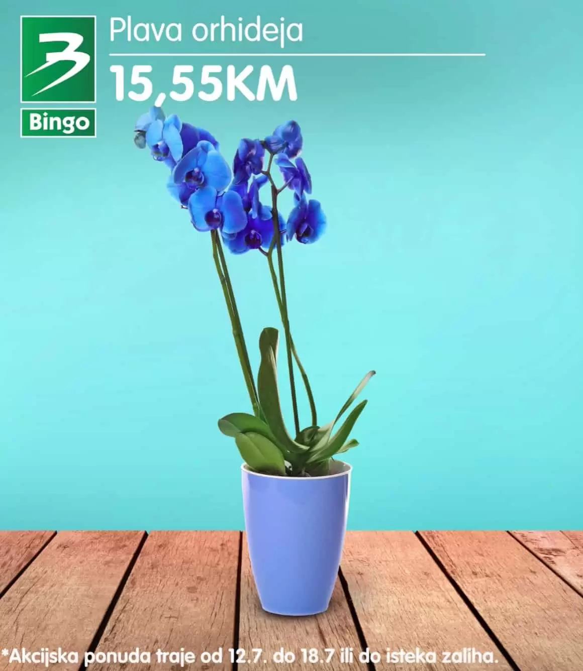 Bingo super ponuda CVIJECA jul 2022 katalog snizenja do 18.07.2022. plava orhideja bingo