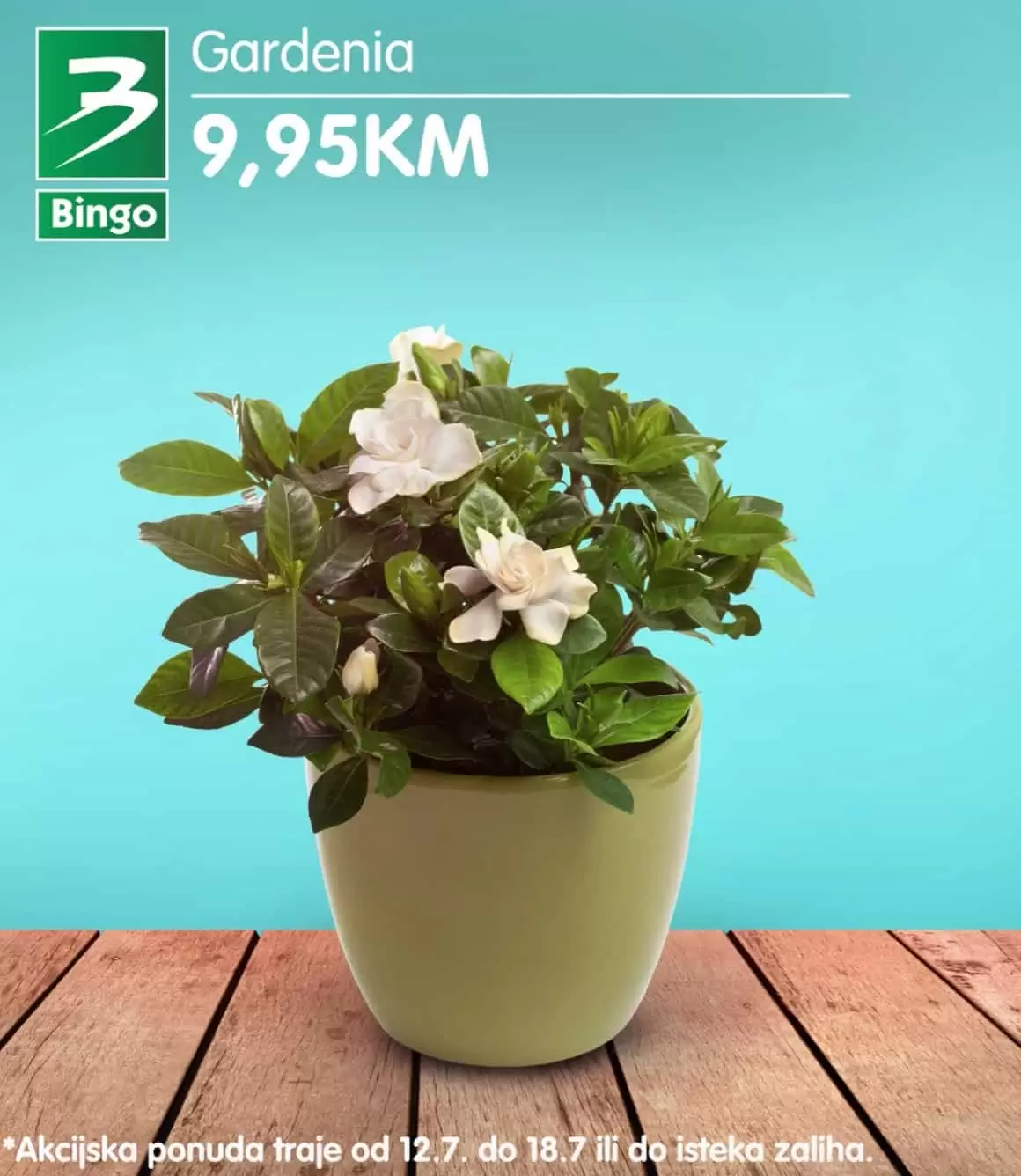 Bingo super ponuda CVIJECA jul 2022 katalog snizenja do 18.07.2022.