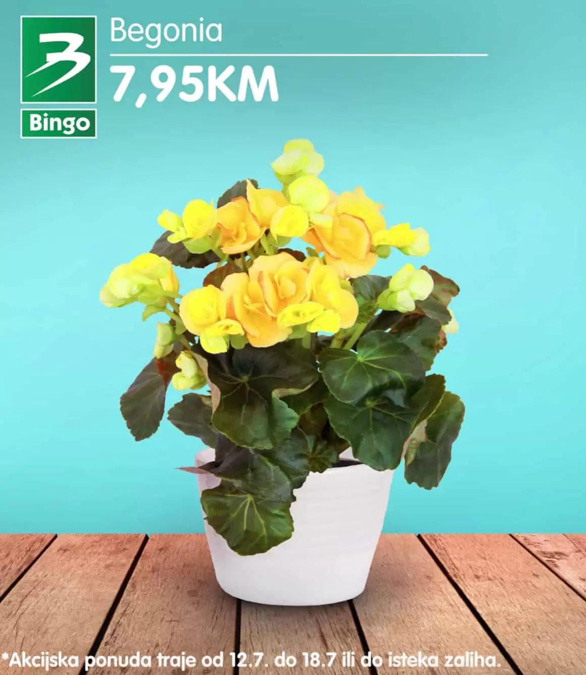 Bingo super ponuda CVIJECA jul 2022 katalog snizenja do 18.07.2022.