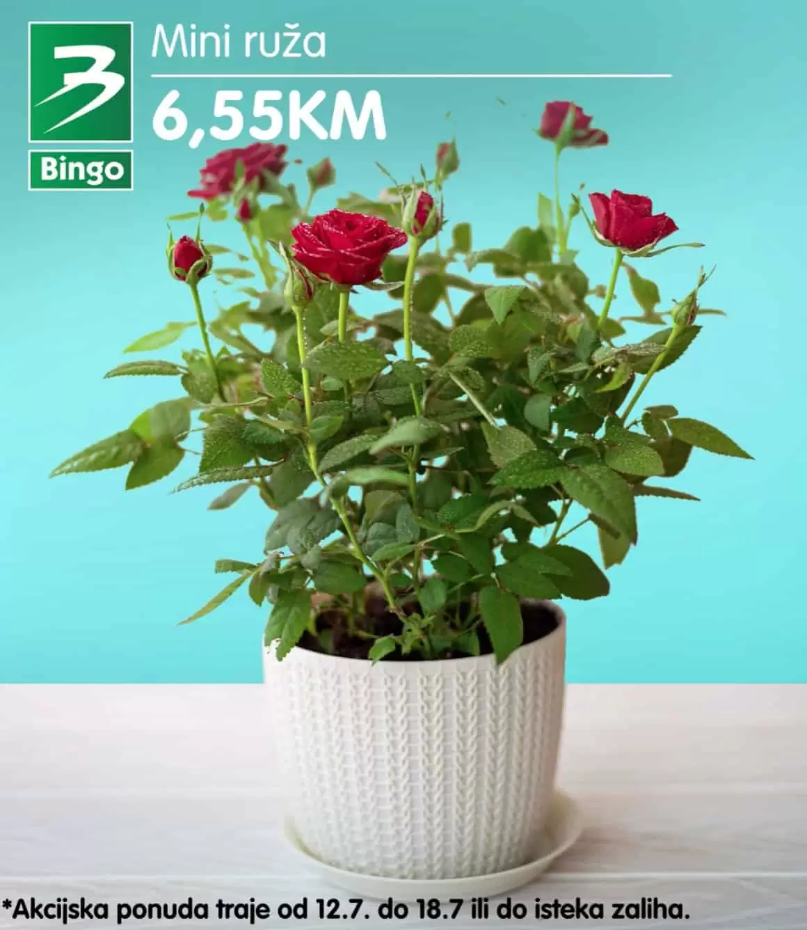 Bingo super ponuda CVIJECA jul 2022 katalog snizenja do 18.07.2022.