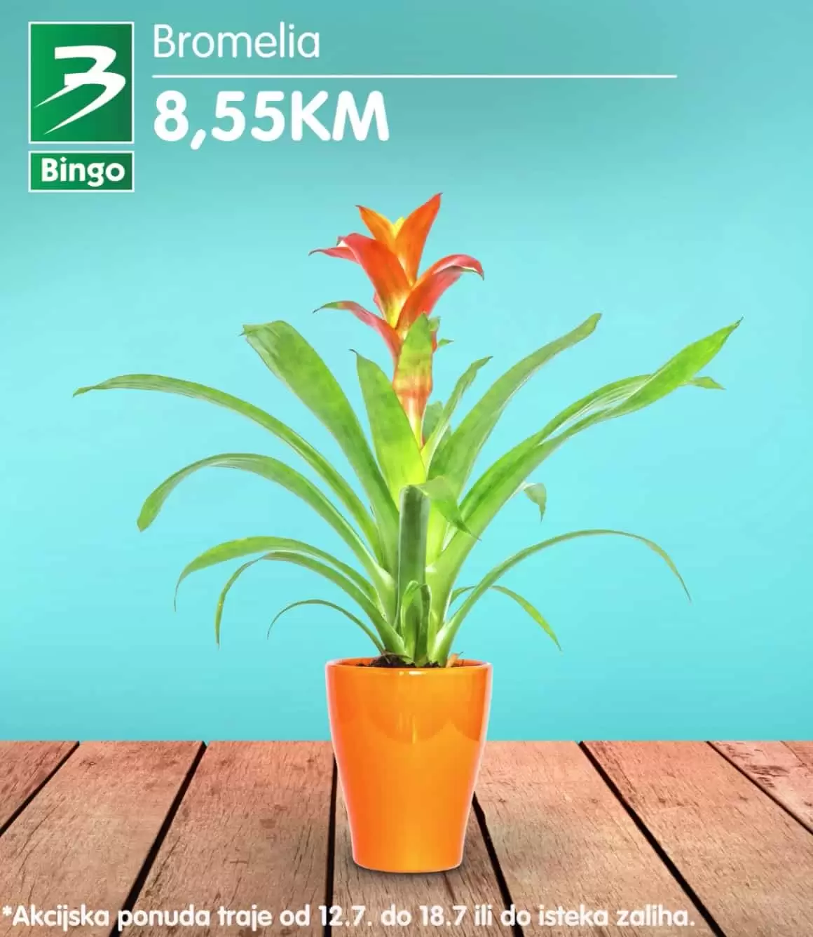 Bingo super ponuda CVIJECA juli 2022 katalog snizenja do 18.07.2022.