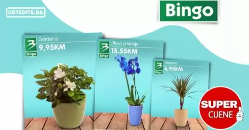 Bingo super ponuda CVIJECA juli 2022 katalog snizenja do 18.07.2022.