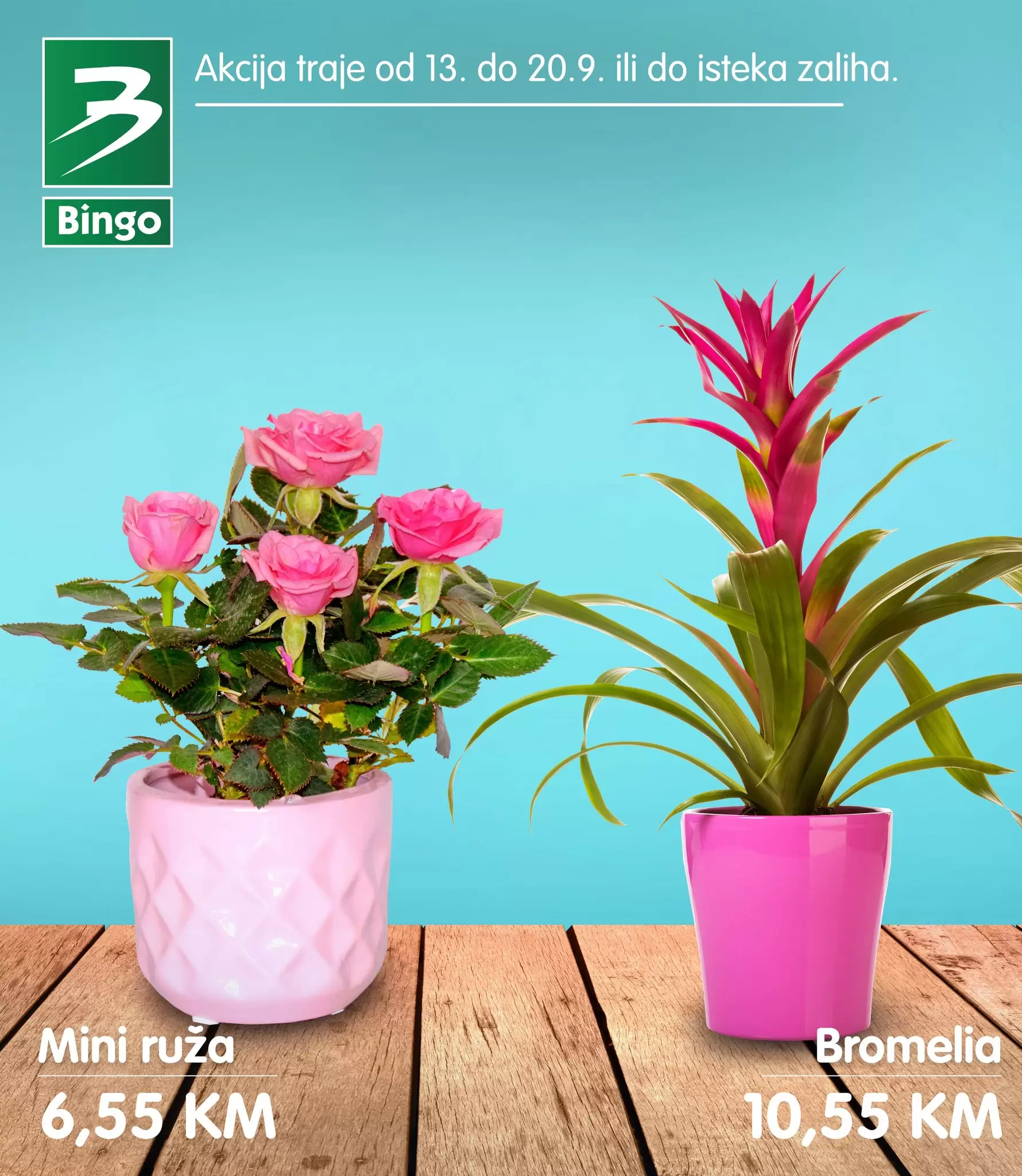 Bingo akcija CVIJECE karalog snizenje do 20.9.2022.
