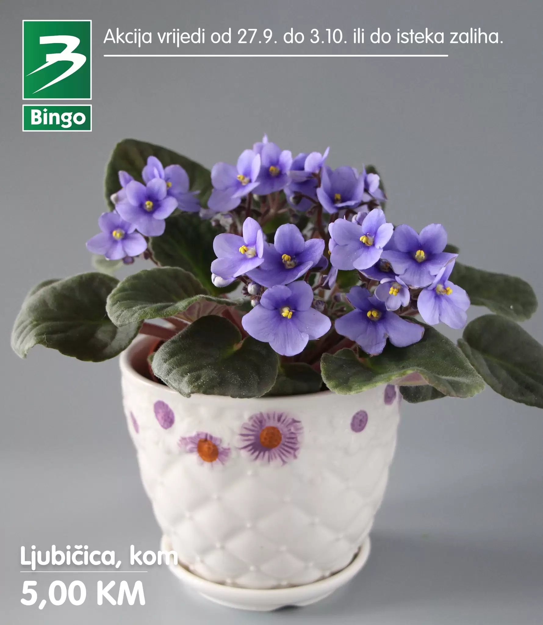 Bingo akcija CVIJEĆE 27.9-3.10.2022.