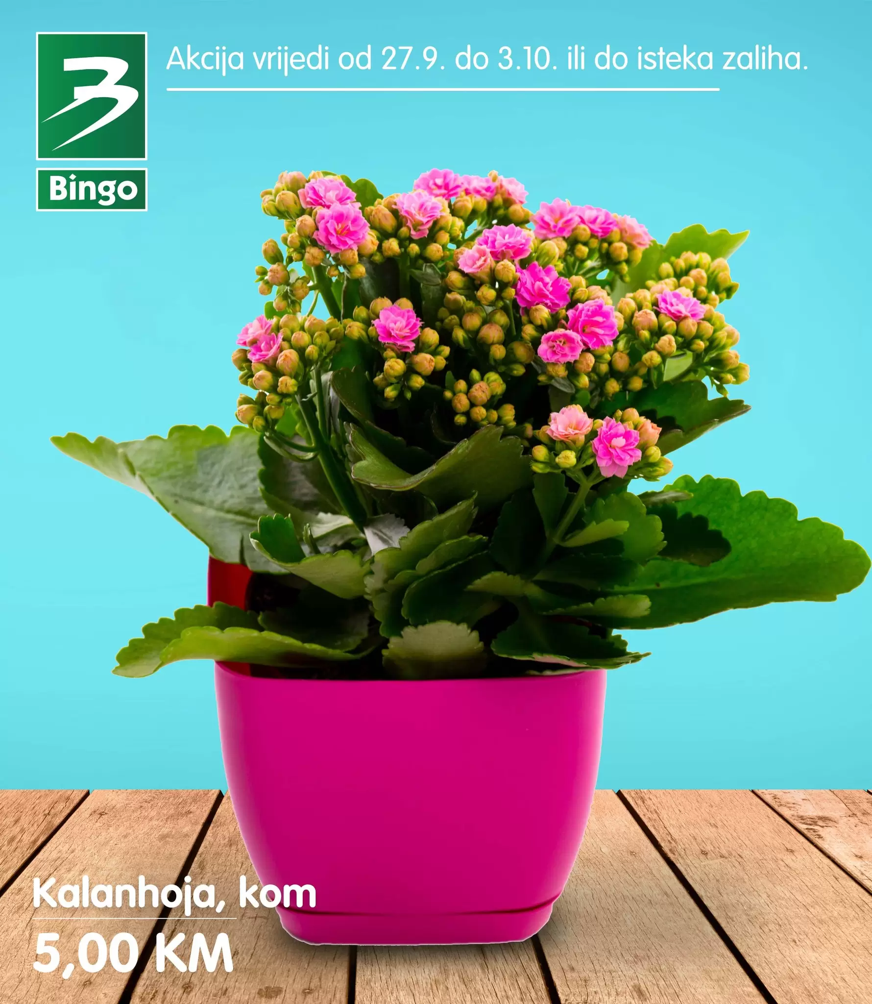 Bingo akcija CVIJEĆE 27.9-3.10.2022.