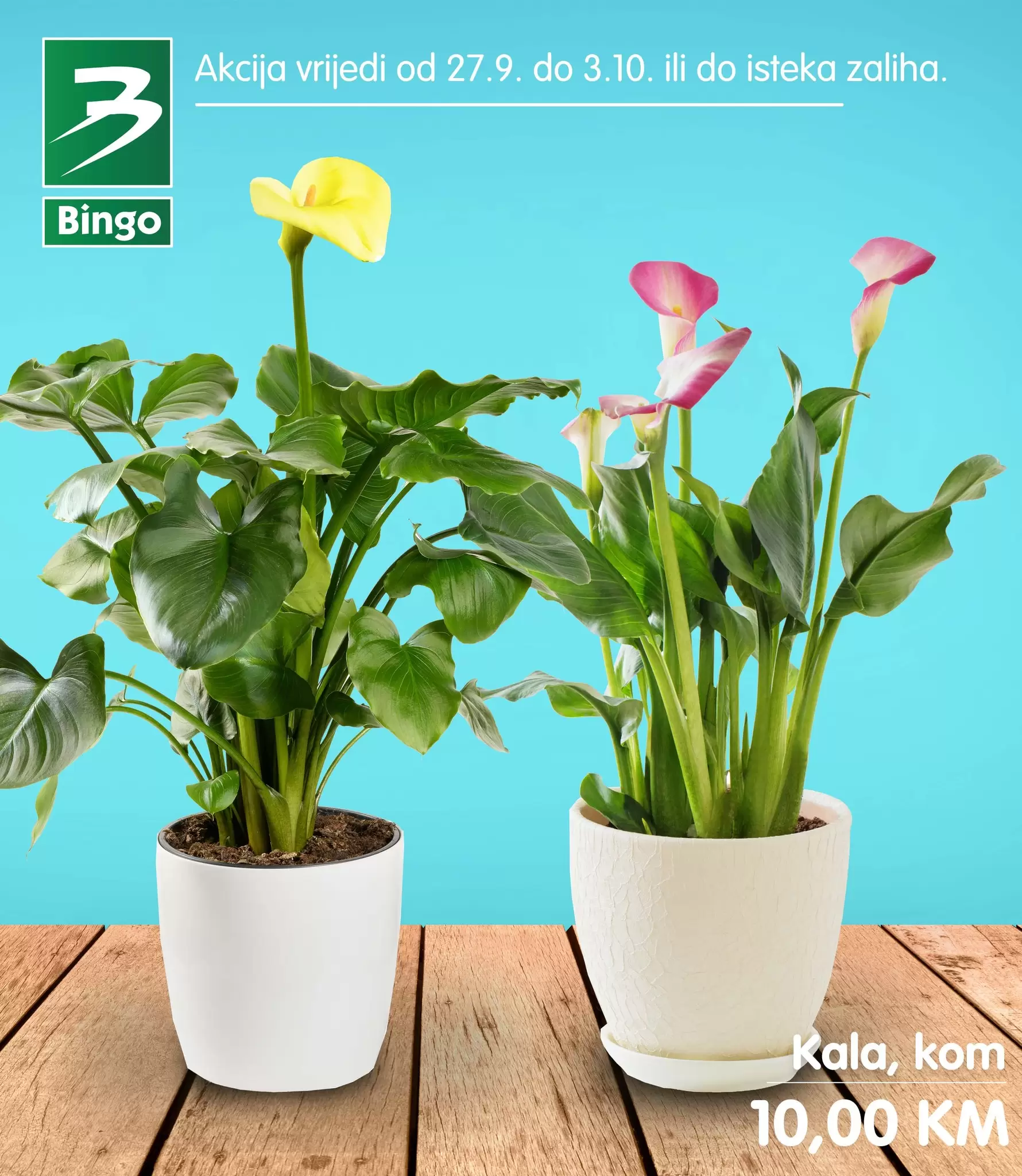 Bingo akcija CVIJEĆE 27.9-3.10.2022.