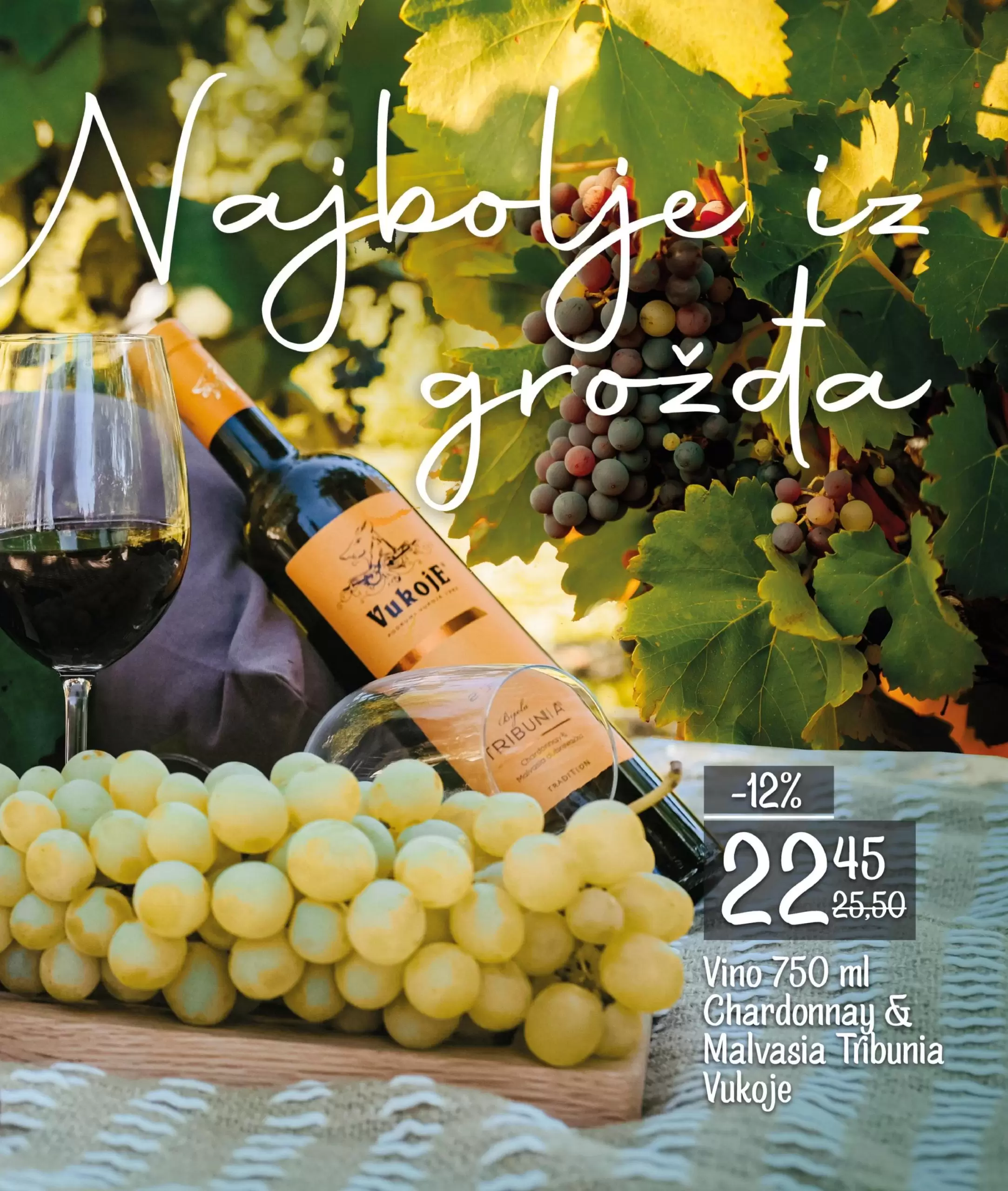 Bingo Magazin Plus katalog 23.9-13.10.2022.