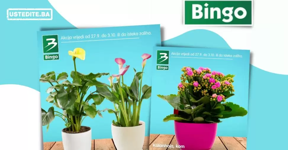 Bingo akcija CVIJEĆE 27.9-3.10.2022.