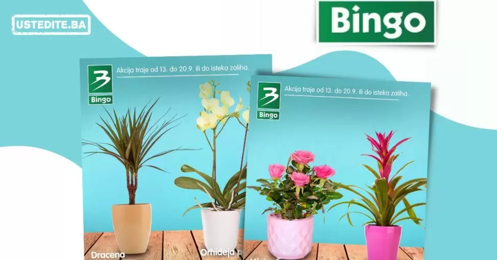 Bingo akcija CVIJECE karalog snizenje do 20.9.2022.