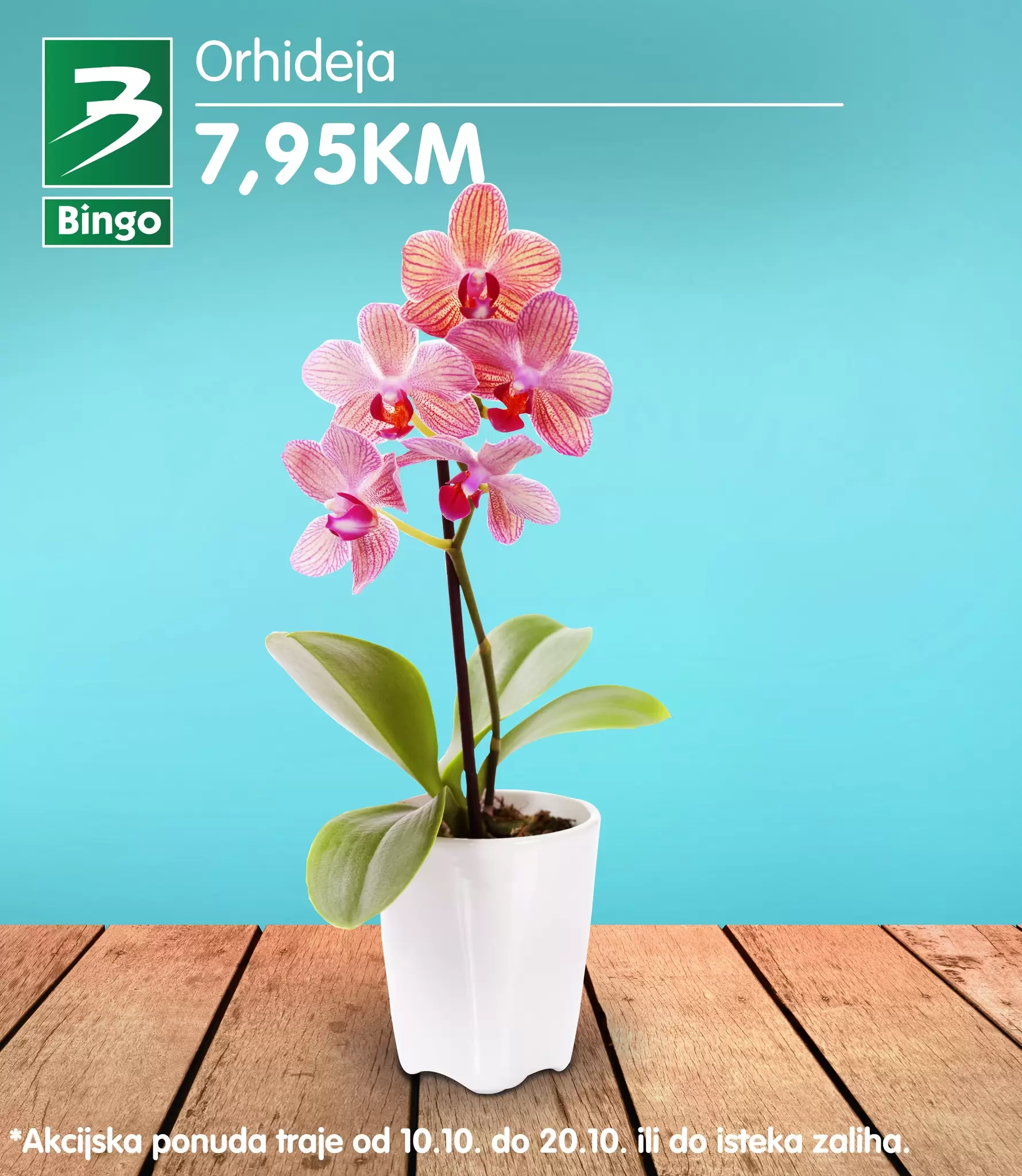 Bingo CVIJEĆE akcija 10-20.10.2022.