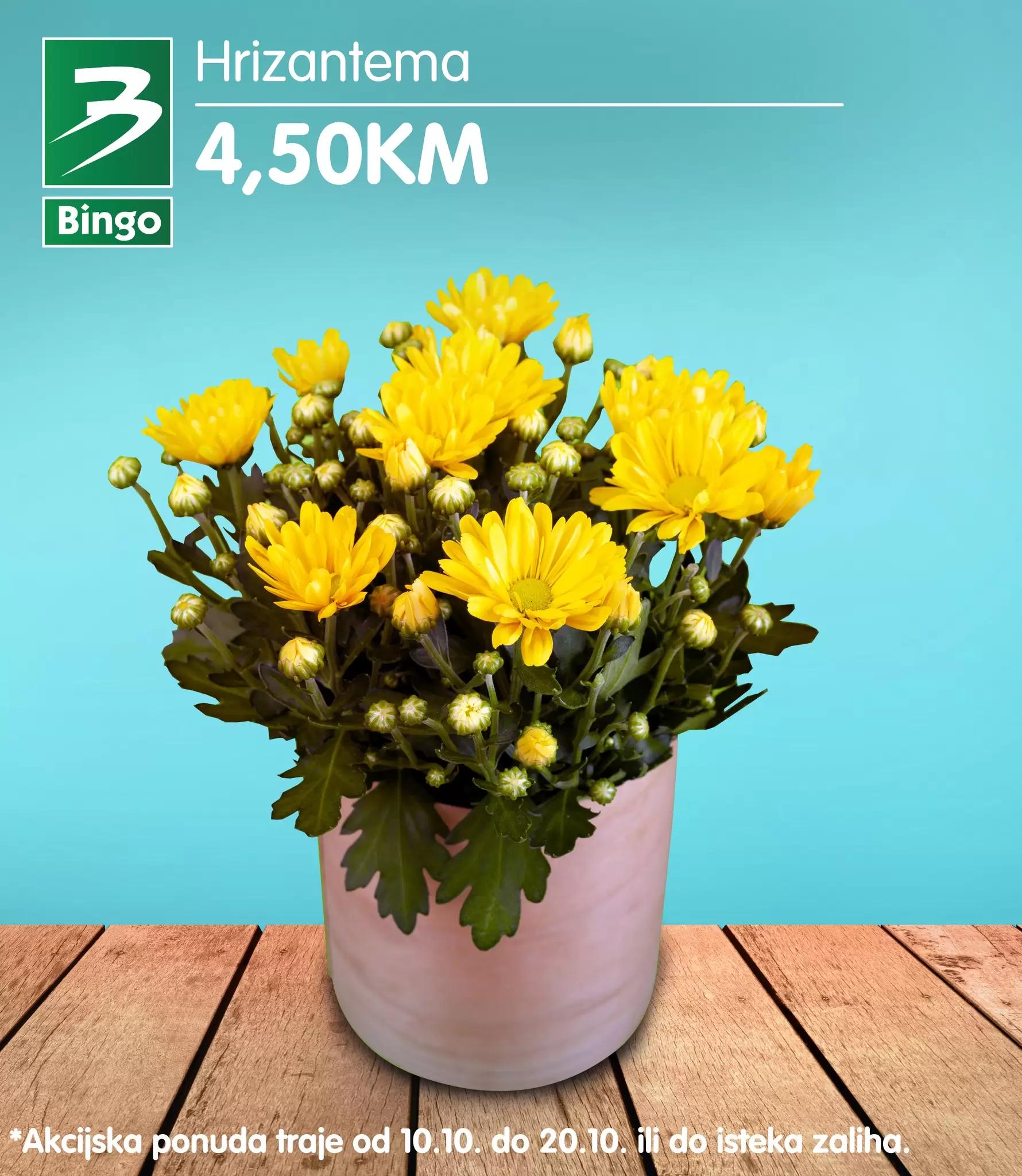 Bingo CVIJEĆE akcija 10-20.10.2022.