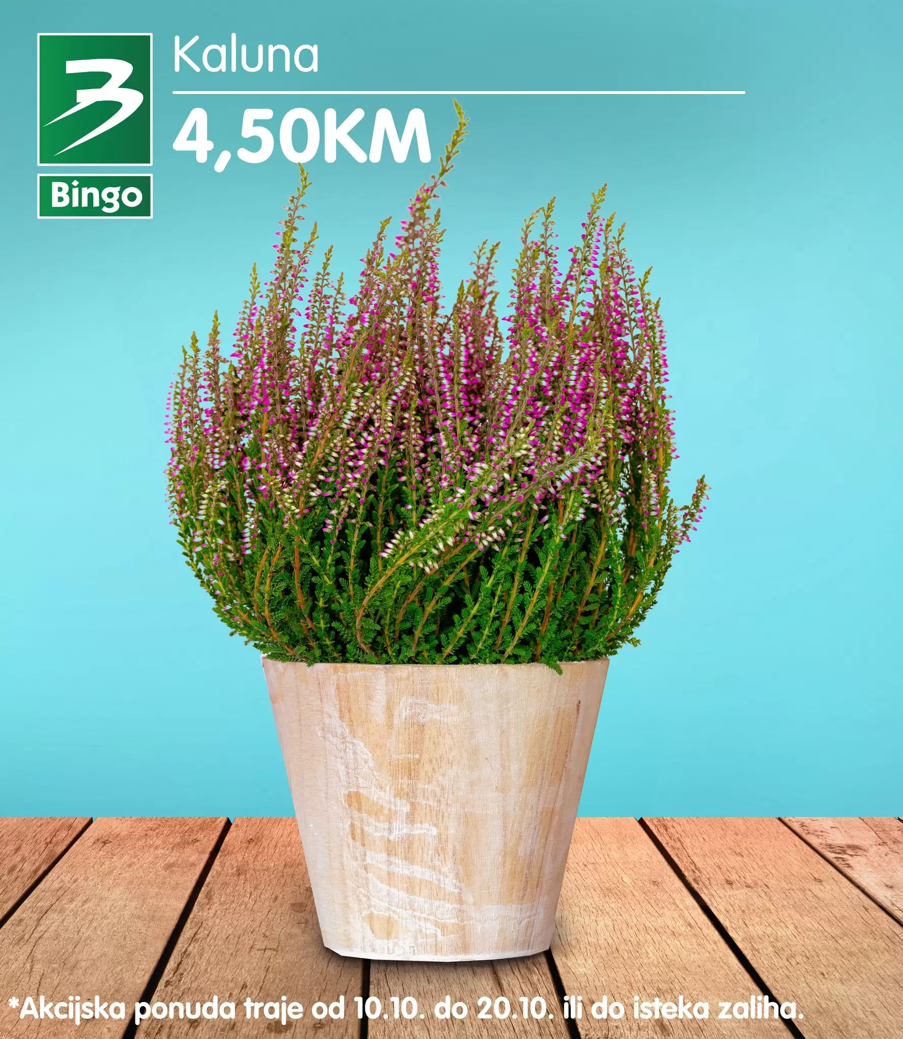 Bingo CVIJEĆE akcija 10-20.10.2022.