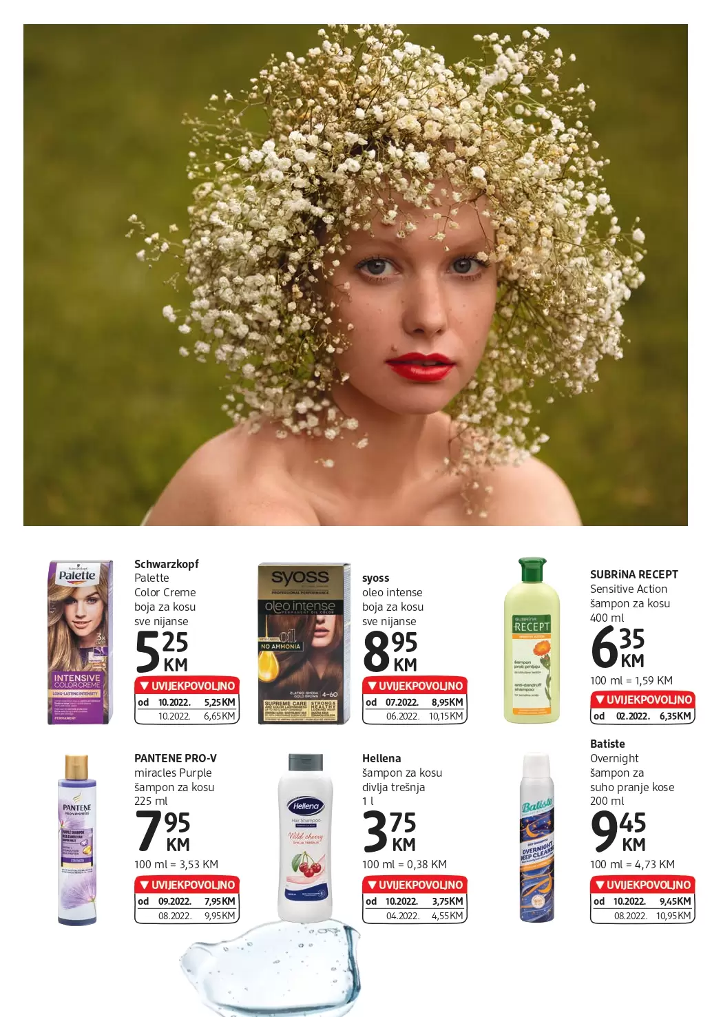 dm Katalog 12-25.10.2022.