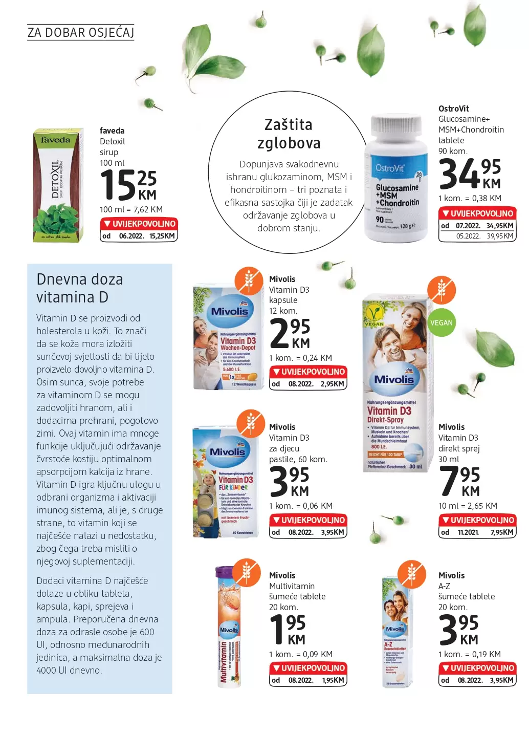 dm Katalog 12-25.10.2022.