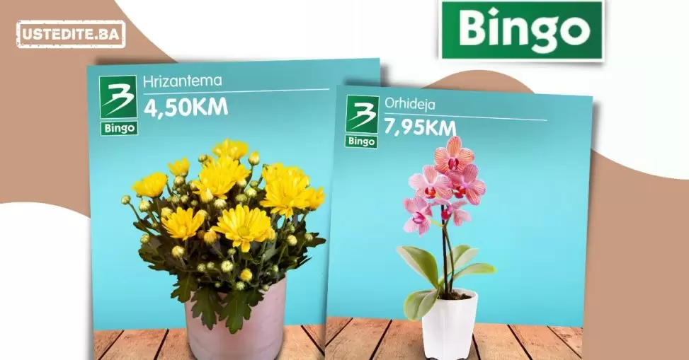 Bingo CVIJEĆE akcija 10-20.10.2022.