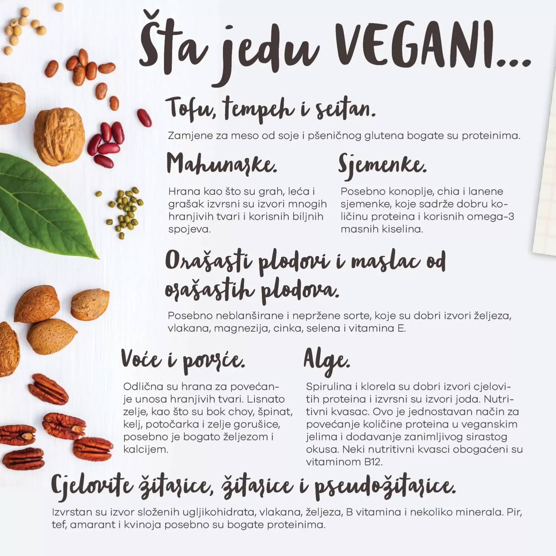Konzum katalog Zdrava veganska prehrana 1-10.11.2022