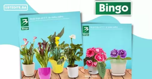 Bingo akcija cvijece do isteka zaliha!Bingo akcija cvijece do isteka zaliha!