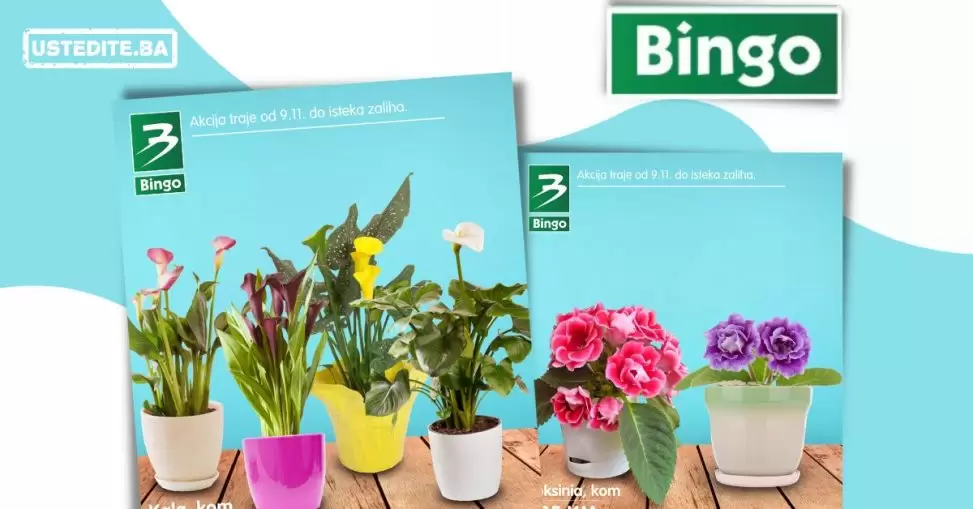 Bingo akcija cvijece do isteka zaliha!Bingo akcija cvijece do isteka zaliha!