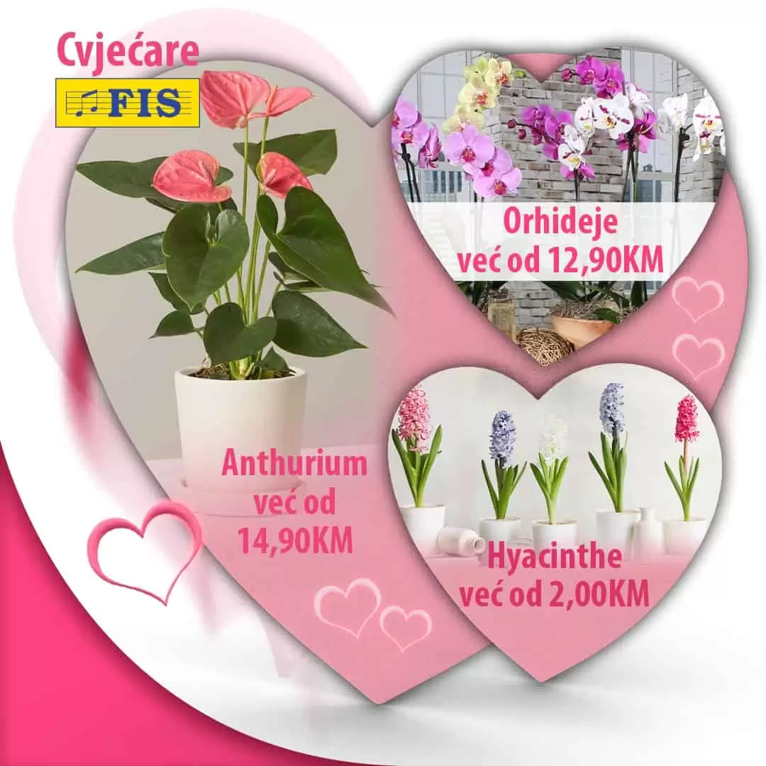 Fis katalog VALENTINOVO 10-17.2.2023. Fis katalog VALENTINOVO 10-17.2.2023.