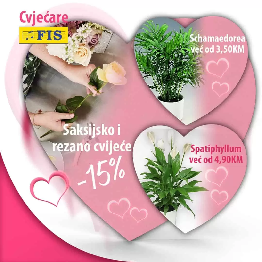 Fis katalog VALENTINOVO 10-17.2.2023.