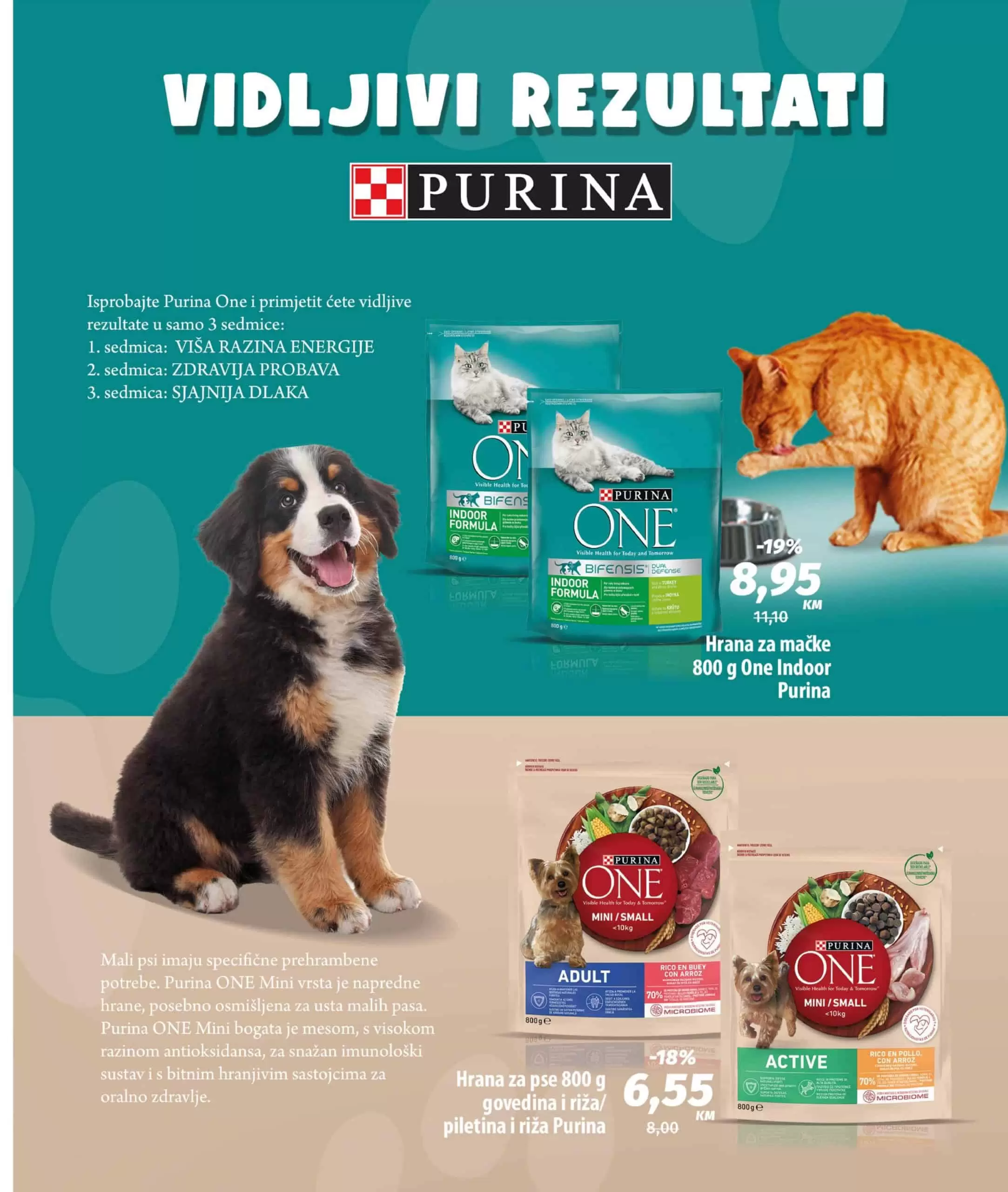 Bingo Magazine Plus 17.2-9.3.2023.