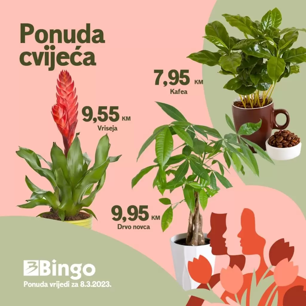 Bingo CVIJEĆE ⇢ Idealan poklon za 8.mart