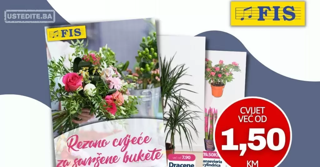 Fis akcija za Dan žena ⇢ CVIJET već od 1,50 KM