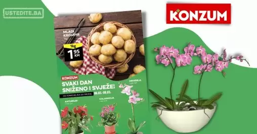 Konzum akcija SVJEŽA PONUDA 6-8.3.2023.