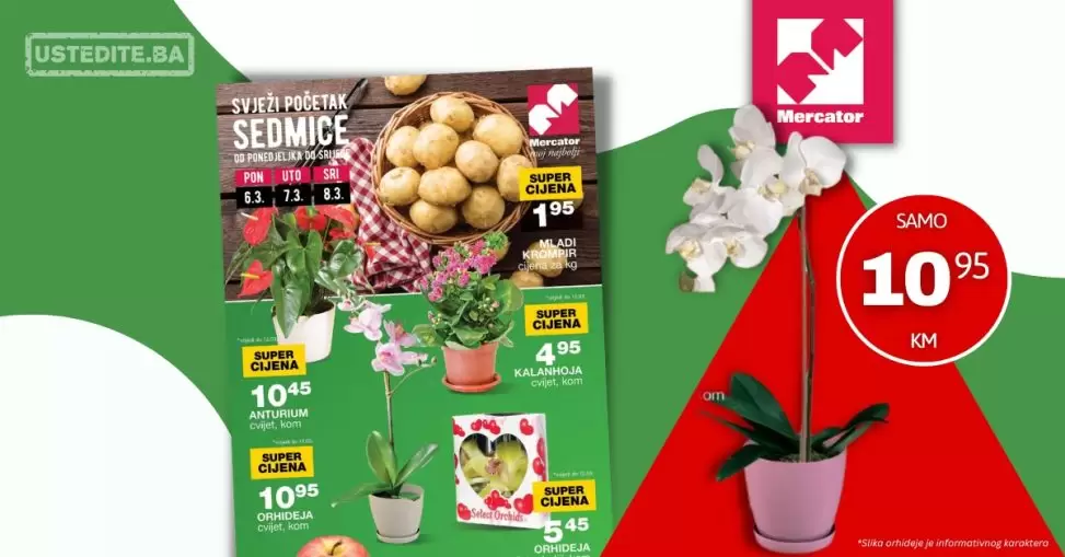 Mercato akcija Svježi početak sedmice 6-8.3.2023.
