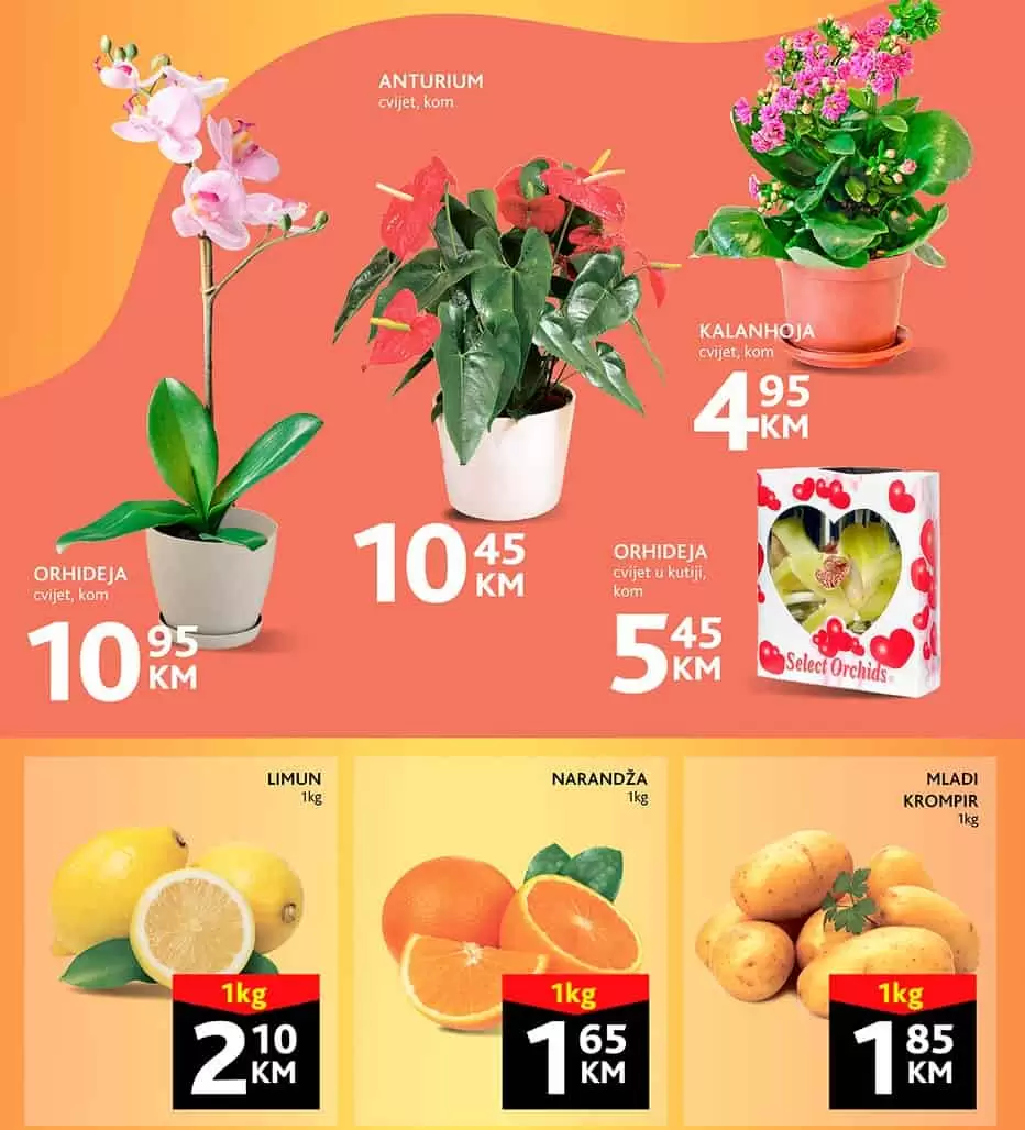 Konzum vikend akcija 2-5.3.2023.