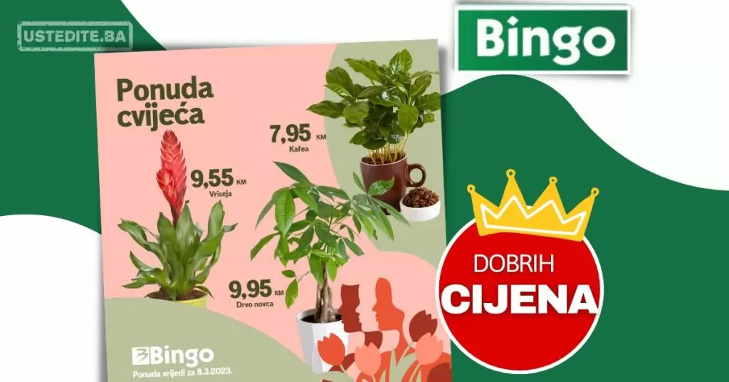 Bingo CVIJEĆE ⇢ Idealan poklon za 8.mart