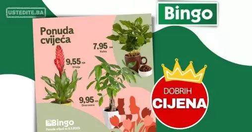 Bingo CVIJEĆE ⇢ Idealan poklon za 8.mart